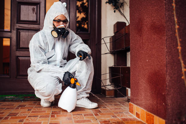 Reliable Cockroach Control contractor in Scottsboro, AL by Nex Pest Control