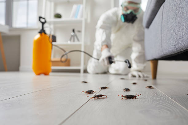 Trusted Termite Control service in Scottsboro, AL - Nex Pest Control