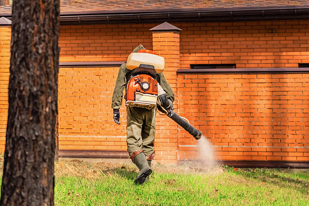 Trusted Bed Bug Control service in Scottsboro, AL - Nex Pest Control